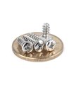Верхний болт крепление сервопривода SG90 M2*4mm 10шт (15597) Верхний болт крепление сервопривода SG90 M2*4mm 10шт (15597)