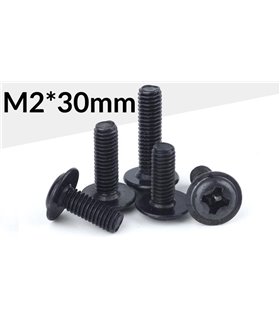Винт для ноутбука M2*30мм (15524) Винт для ноутбука M2*30мм (15524)