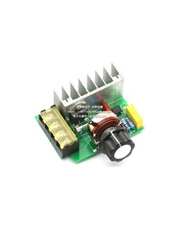 Мощный электронный регулятор напряжения SCR 4000W (18224)