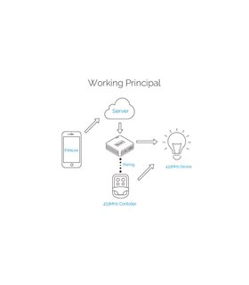 Умный Wi-Fi мост Sonoff RF 433MHz Wi-Fi сигнализация (14675)