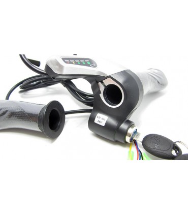 Комплект ручка газа с индикатором заряда и замком зажигания 24V (15192)