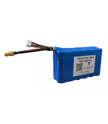 Аккумуляторная батарея для FPV 6S2P Molicel 18650 P28A медь (19910)