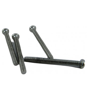 Винт с полукруглой головкой никель M2 20мм 25шт (19124)