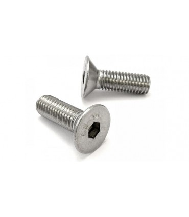 Винт потайная головка под шестигранник нержавейка 201 DIN7992 M6*10 25шт (17732)