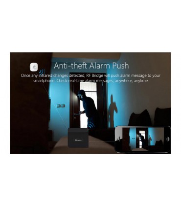 Умный Wi-Fi мост Sonoff RF 433MHz Wi-Fi сигнализация (14675)