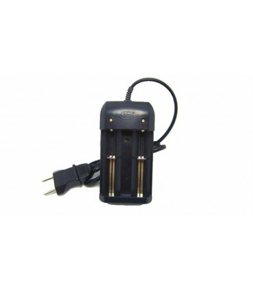 Зарядное устройство Li-Ion LiFePo аккумуляторов 18650 26650 32650 (14731)