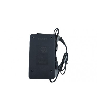 Зарядное устройство для аккумулятора электровелосипеда 96V 20Ah (19150)