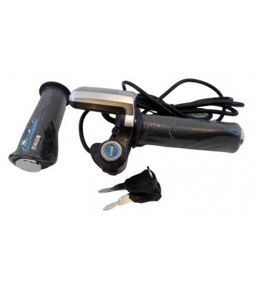 Ручка газа пара для электровелосипеда с LCD дисплеем под 72V (17479)
