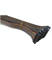Кабельный шлейф Dupont 20pin 2 ряда 2.54мм 310мм (19396) Кабельный шлейф Dupont 20pin 2 ряда 2.54мм 310мм (19396)