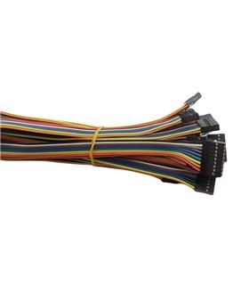 Кабельный шлейф Dupont 8pin 2 ряда 2.54мм 310мм (19389) Кабельный шлейф Dupont 8pin 2 ряда 2.54мм 310мм (19389)