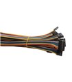 Кабельный шлейф Dupont 8pin 2 ряда 2.54мм 310мм (19389) Кабельный шлейф Dupont 8pin 2 ряда 2.54мм 310мм (19389)