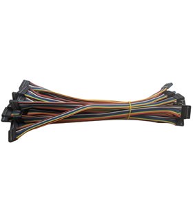 Кабельный шлейф Dupont 8pin 2 ряда 2.54мм 310мм (19389) Кабельный шлейф Dupont 8pin 2 ряда 2.54мм 310мм (19389)
