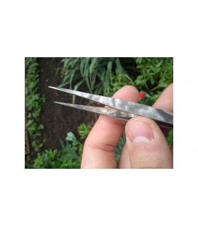 Антистатический пинцет Gooi TS-10 (11068)