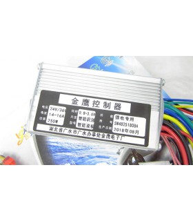 Контроллер управления электровелосипедом под литий 24V 36V 250W (15662)