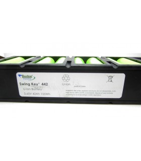 Аккумуляторная батарея Li-Ion Boston Swing 8P 3.65V 42Ah 155Wh (15424)