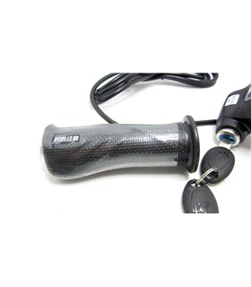 Комплект ручка газа с индикатором заряда и замком зажигания 24V (15192)