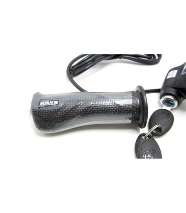 Комплект ручка газа с индикатором заряда и замком зажигания 24V (15192)