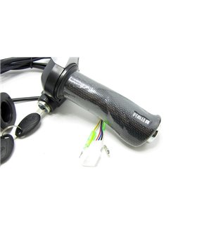 Комплект ручка газа с индикатором заряда и замком зажигания 24V (15192)