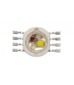 Светодиод LED RGBW CL-P1WRGBW-8 4x1W (11324)