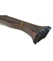 Кабельный шлейф Dupont 20pin 2 ряда 2.54мм 310мм (19396) Кабельный шлейф Dupont 20pin 2 ряда 2.54мм 310мм (19396)
