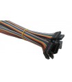 Кабельный шлейф Dupont 10pin 2 ряда 2.54мм 310мм (19391) Кабельный шлейф Dupont 10pin 2 ряда 2.54мм 310мм (19391)
