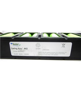 Аккумуляторная батарея Li-Ion Boston Swing 8P 3.65V 42Ah 155Wh (15424)