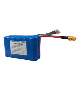 Аккумуляторная батарея для FPV 6S2P Molicel 18650 P28A медь (19910)