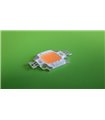 LED светодиод для растений 10W 840nm 500Lm 9-11V (11257)
