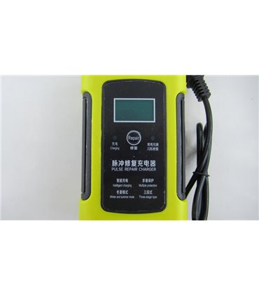 Автомобильное зарядное устройство для аккумулятора Xinriai Mayadi 12V 60Ah (19152)