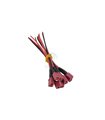 Штекер с кабелем папа TX T60 18AWG 15см (18201) Штекер с кабелем папа TX T60 18AWG 15см (18201)