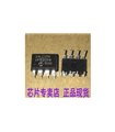 Микросхема EEPROM 24LC256 I/P DIP-8 I2C (11310) Микросхема EEPROM 24LC256 I/P DIP-8 I2C (11310)