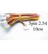 Балансировочный кабель 5pin 10см со штекером 2.54 (15247)