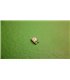 Светодиод LED SMD 0805 белый 10шт (11841)